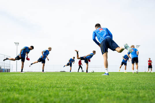 Players of the Swedish men's football national team at a