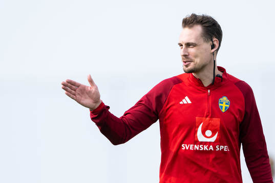 Interim coach Daniel Bäckström of the Swedish men's