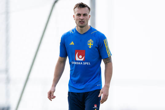 Henrik Castegren of the Swedish men's football national