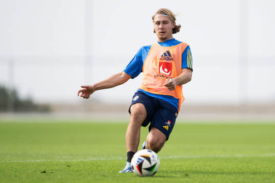 Sebastian Nanasi of the Swedish men's football national