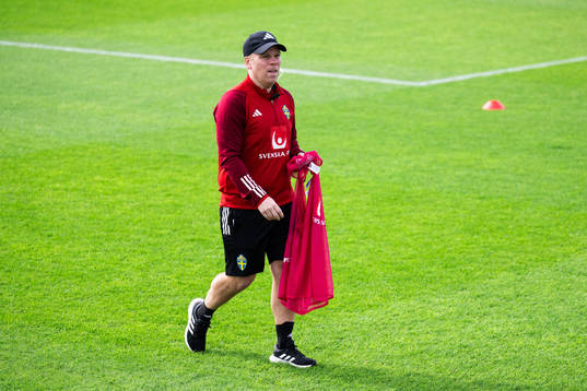 Interim assistant coach Viktor Eriksson of the Swedish