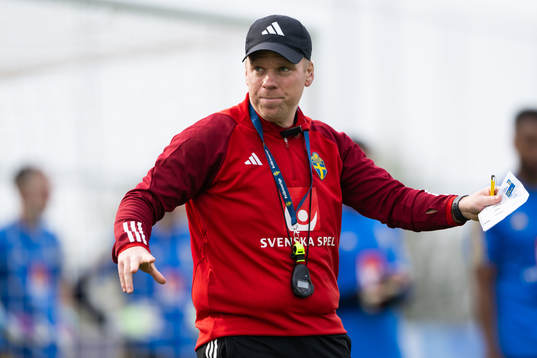 Interim assistant coach Viktor Eriksson of the Swedish