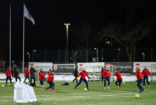 Helsingborgs spelare