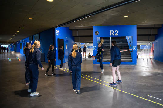 Players of Sweden