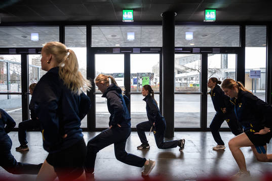 Players of Sweden