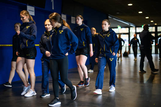 Players of Sweden