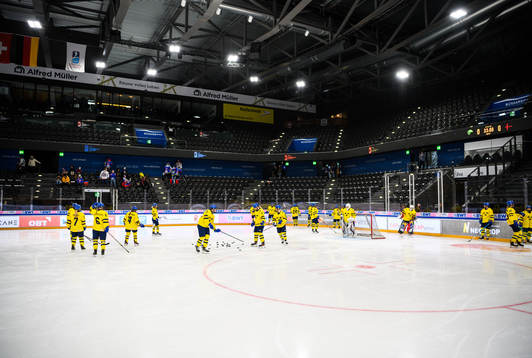 Players of Sweden