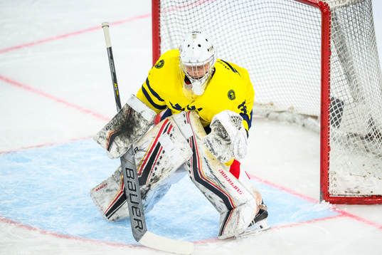 Goalkeeper Lovisa Lundström of Sweden