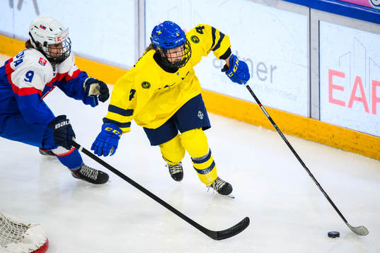 Michaela Paulinyova of Slovakia and Wilma Georgny of Sweden
