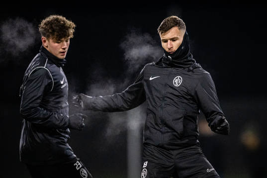 Max Nilsson och Robin Dzabic