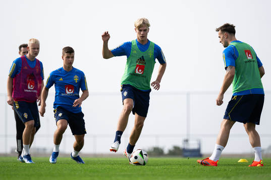 Samuel Dahl and Lucas Bergvall of the Swedish men's