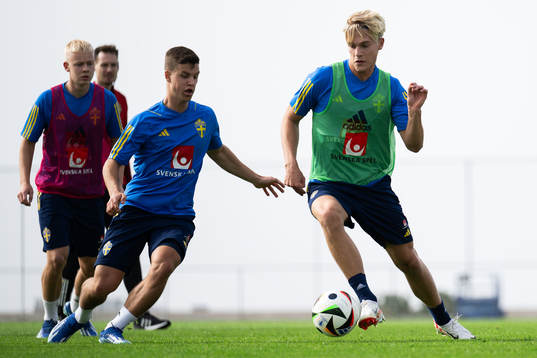 Samuel Dahl and Lucas Bergvall of the Swedish men's