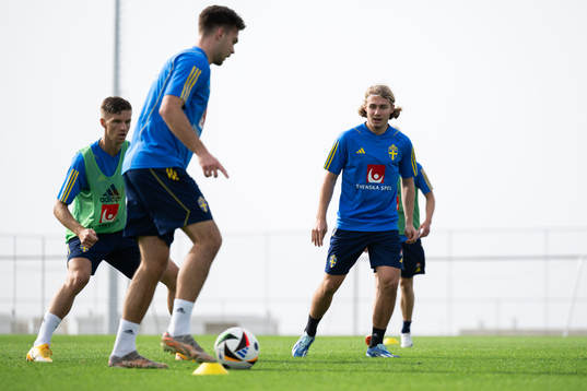 Sebastian Nanasi of the Swedish men's football national