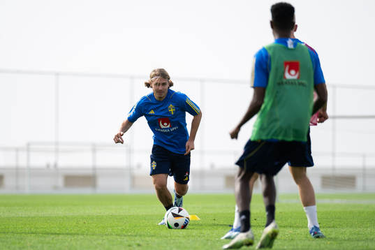Sebastian Nanasi of the Swedish men's football national