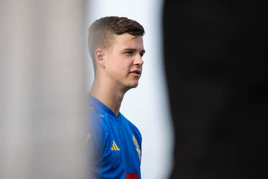 Samuel Dahl of the Swedish men's football national team in
