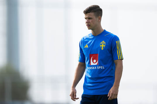 Samuel Dahl of the Swedish men's football national team at