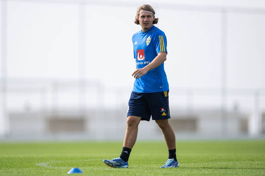 Sebastian Nanasi of the Swedish men's football national