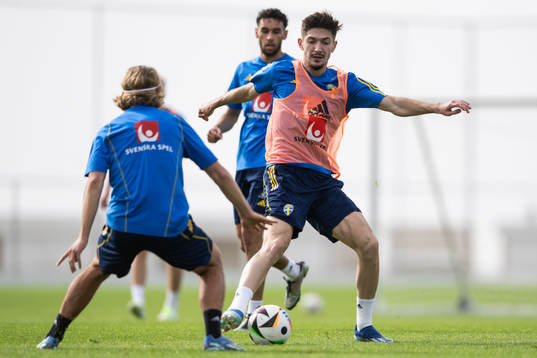 Armin Gigovic of the Swedish men's football national team