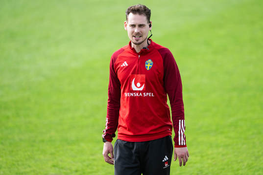 Interim coach Daniel Bäckström of the Swedish men's