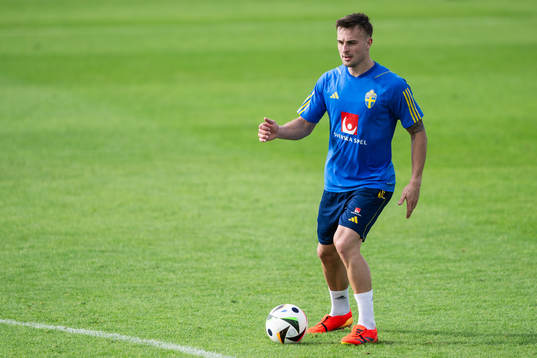 Henrik Castegren of the Swedish men's football national