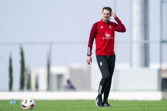 Interim coach Daniel Bäckström of the Swedish men's
