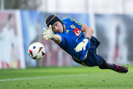 Goalkeeper Jacob Widell Zetterström of the Swedish men's