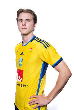 Erik Ahlstrand of the Swedish men's football national team