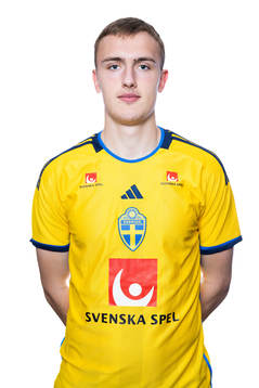 Jesper Tolinsson of the Swedish men's football national