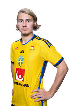 Sebastian Nanasi of the Swedish men's football national