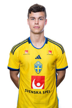 Samuel Dahl of the Swedish men's football national team