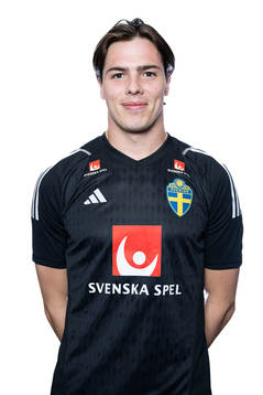 Goalkeeper Jacob Widell Zetterström of the Swedish men's