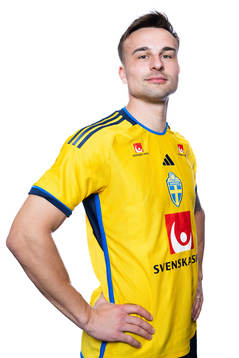 Henrik Castegren of the Swedish men's football national