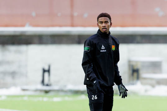GAIS Chovanie Amatkarijo