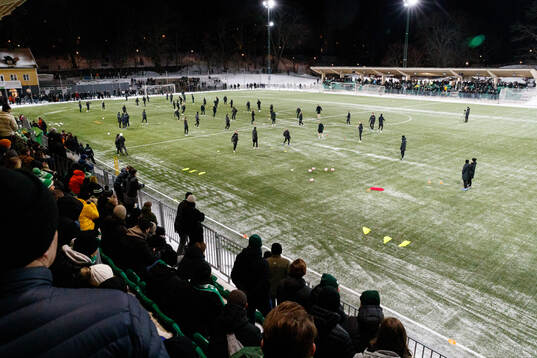 Hammarby IP
