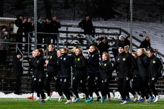Hammarbys spelare