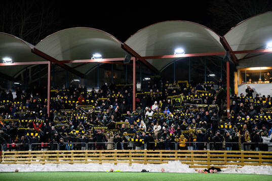 Supportrar på läktaren