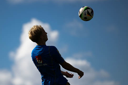Victor Larsson of the Swedish men's football national team