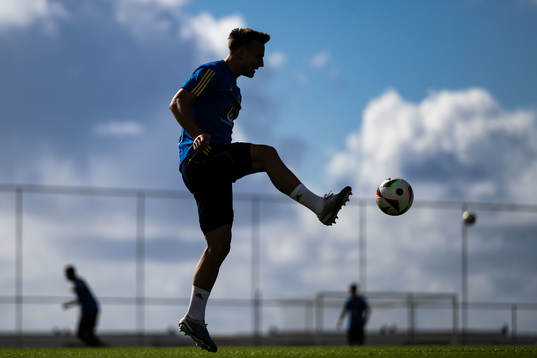 Henrik Castegren of the Swedish men's football national