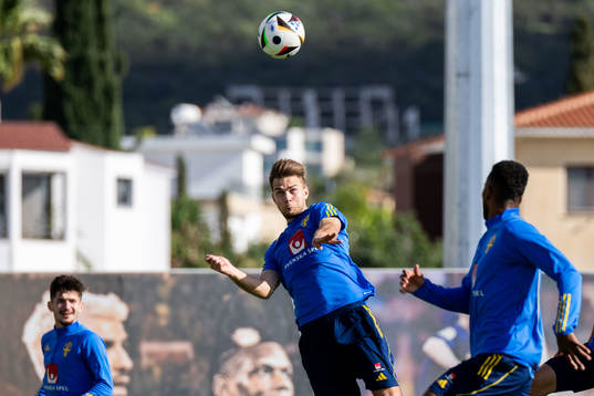 Anton Eriksson of the Swedish men's football national team