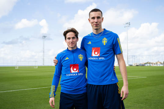 Johan Karlsson and goalkeeper Samuel Brolin of the Swedish