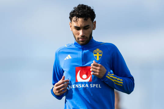 Joakim Persson of the Swedish men's football national team