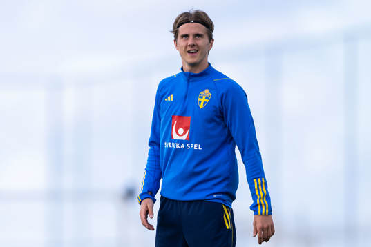 Erik Ahlstrand of the Swedish men's football national team