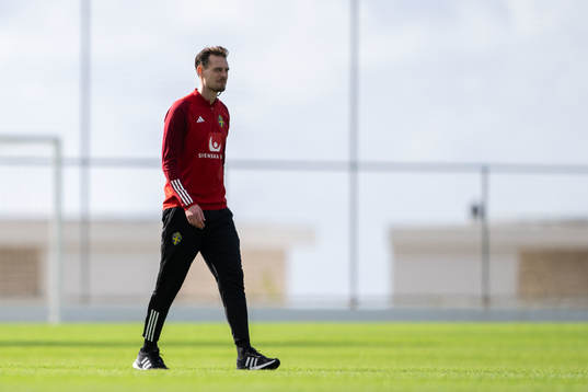 Interim coach Daniel Bäckström of the Swedish men's