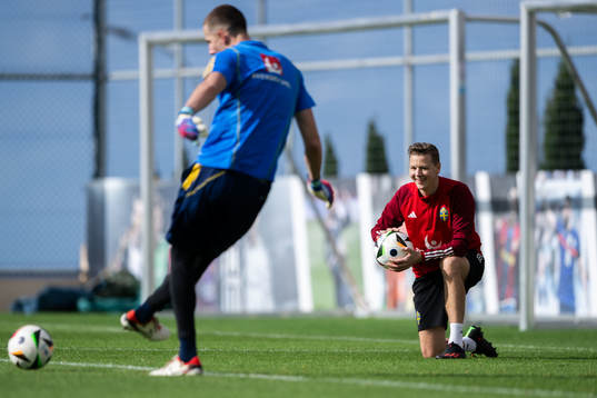 Goalkeeper coach Maths Elfvendal of the Swedish men's