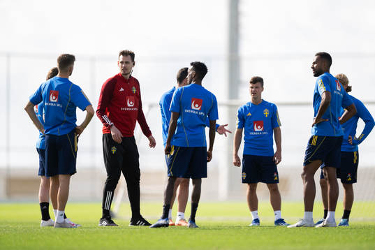 Interim coach Daniel Bäckström of the Swedish men's