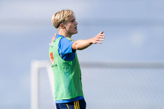 Lucas Bergvall of the Swedish men's football national team