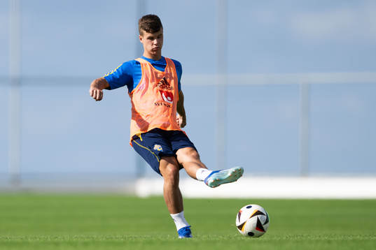 Samuel Dahl of the Swedish men's football national team at