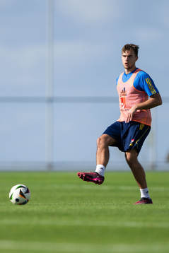 Anton Eriksson of the Swedish men's football national team
