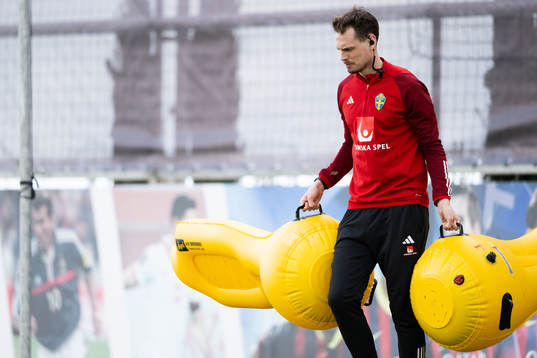 Interim coach Daniel Bäckström of the Swedish men's