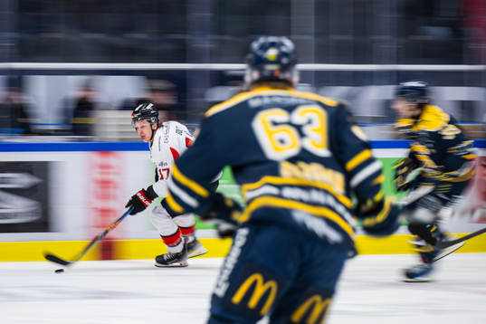 Nybros Maxim Golod